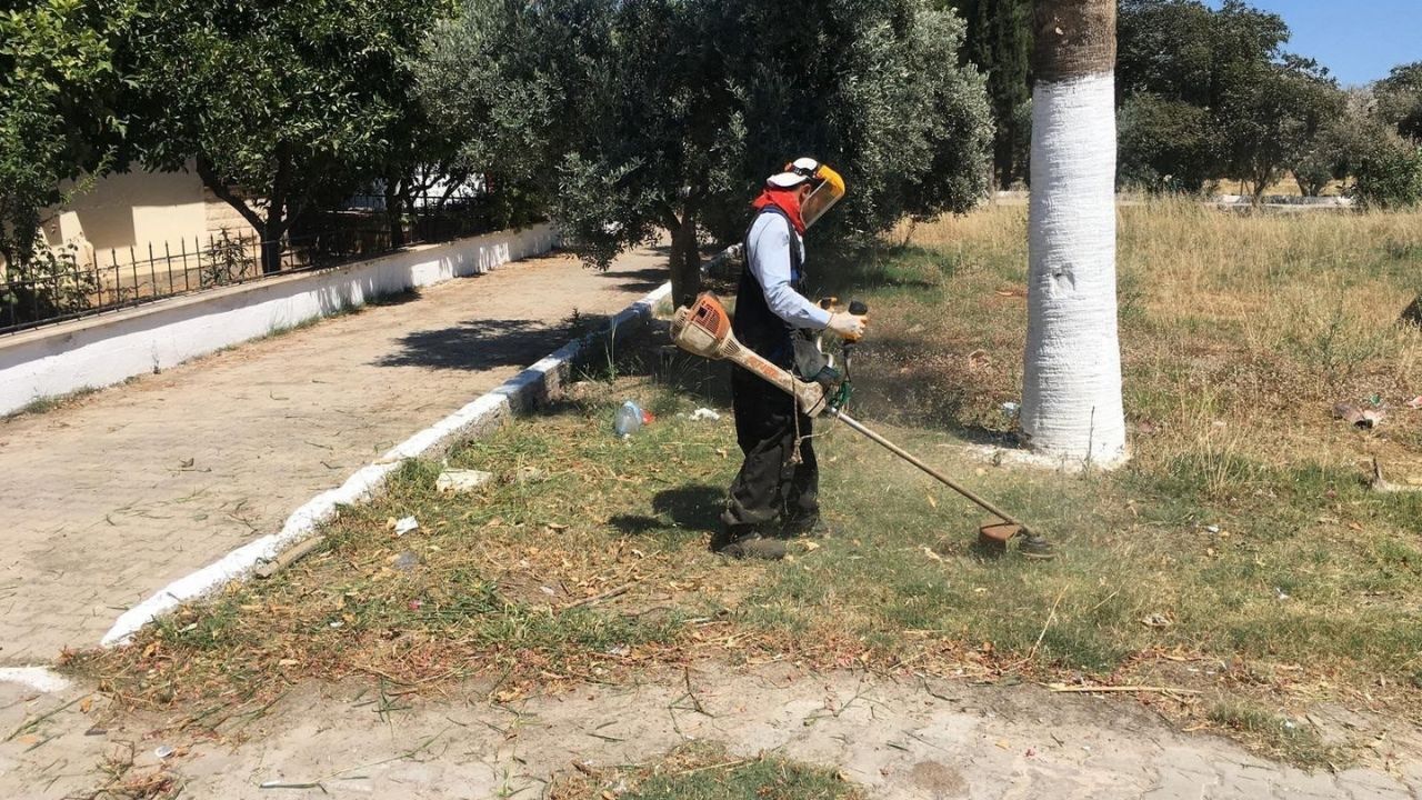 Didim sokakları belediyenin kendi ürettiği çiçeklerle süsleniyor