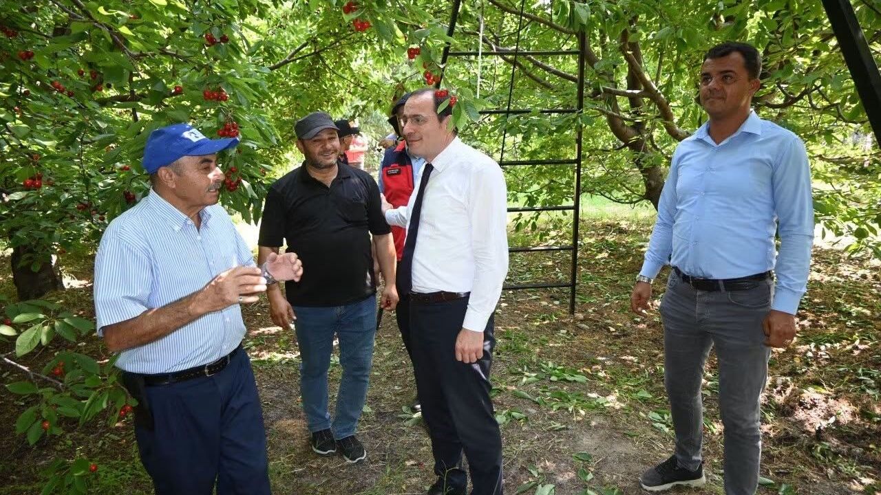 Afyonkarahisar Çay'da kiraz hasadı üreticiyi harekete geçirdi