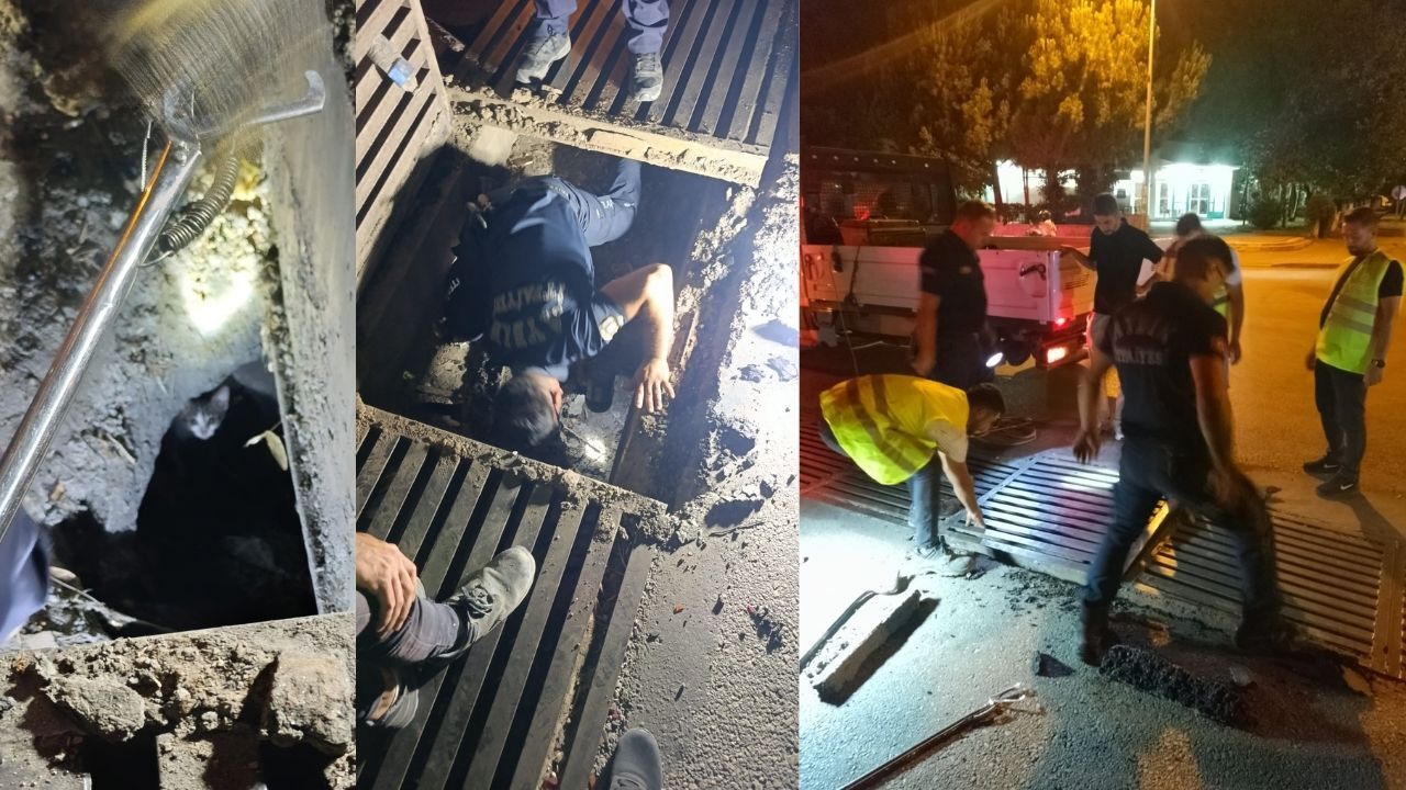 Ekipler seferber oldu mazgaldaki kedi kurtarıldı