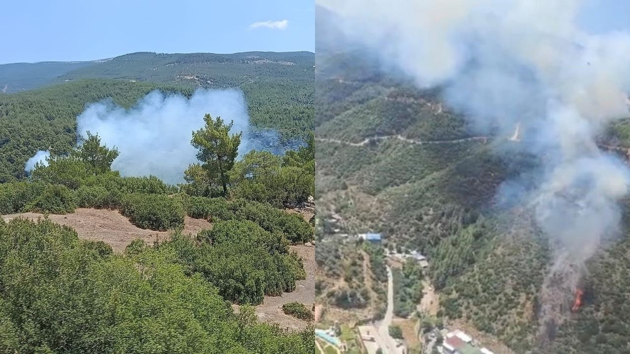 Türkiye'de orman yangını alarmı! İzmir, Aydın ve Kütahya'da son durum ne?