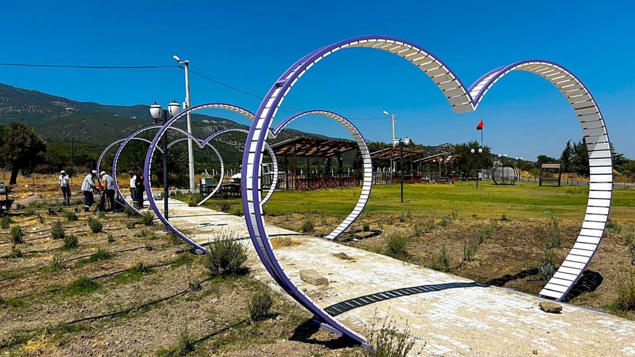 Söke Doğanbey'de lavanta bahçesi projesinde sona gelindi