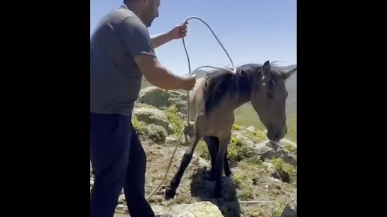 Emirdağ Yılkı Atları kaçak avcıların elinden son anda kurtarıldı