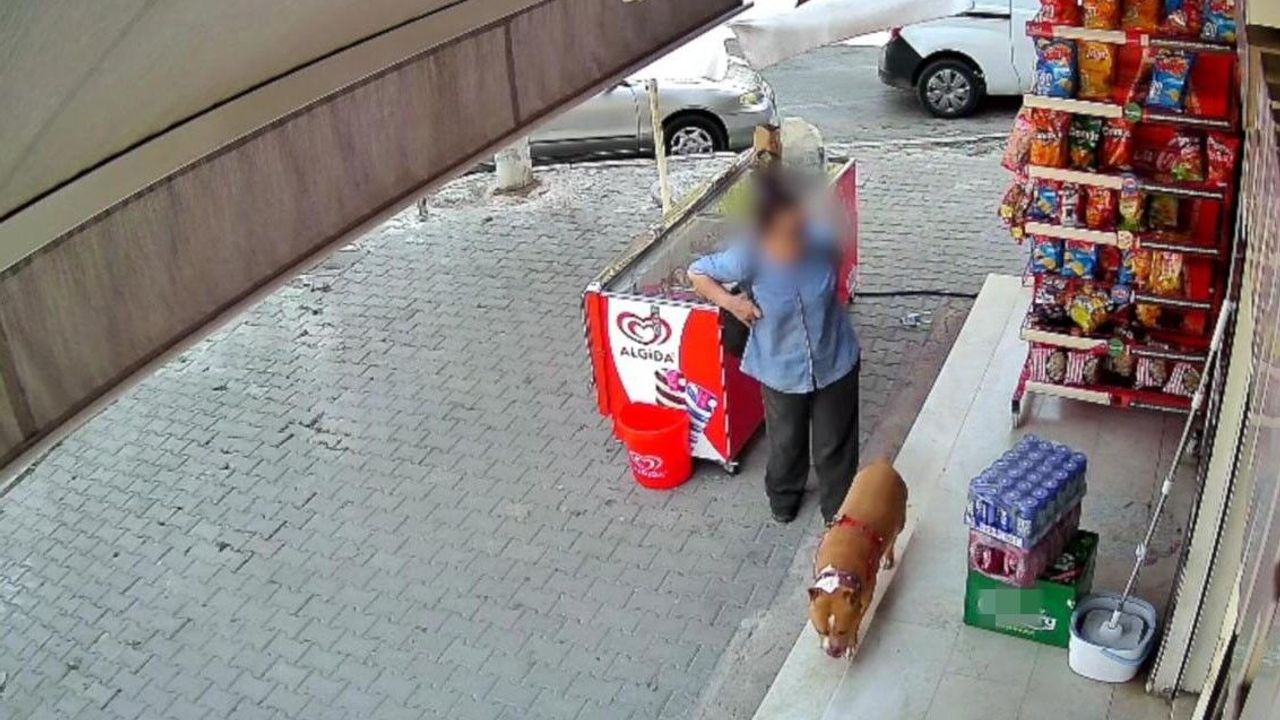 Karşıyaka'da pitbull saldırısına uğrayan kadın parmağını kaybetti