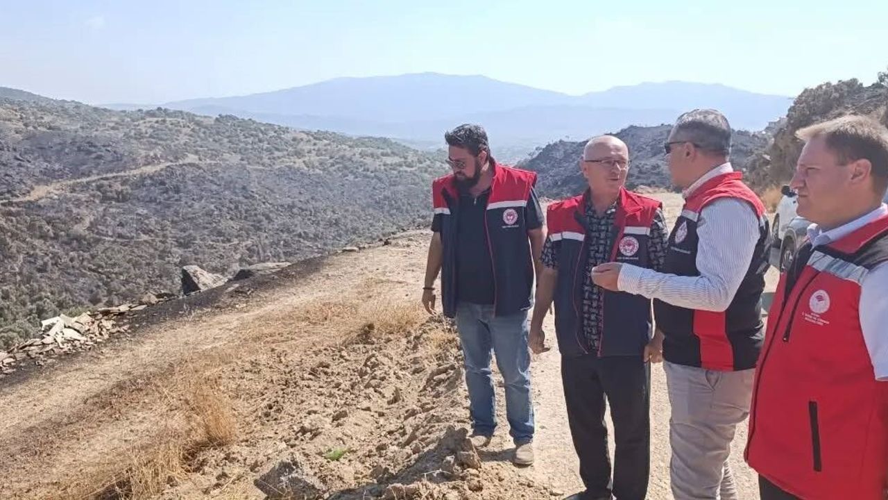Aydın Çine orman yangını sonrası bilanço için ekipler sahaya indi