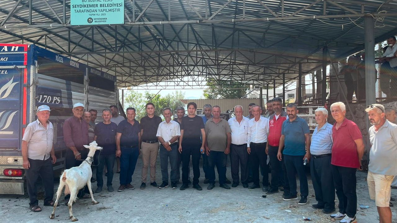 Seydikemer yangın mağduru çiftçilere umut olan hayvan dağıtımı başladı