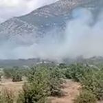 Denizli Acıpayam’da ormanlık alanda yangın çıktı: Ekipler müdahale etti!