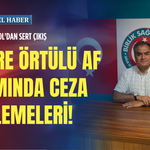 Ahmet Doğruyol'dan sert çıkış: Teröre örtülü af kıvamında ceza ertelemeleri!