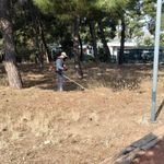 Bodrum’da yangın riskine karşı ot temizliği