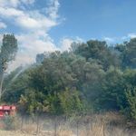 Muğla Seydikemer'deki orman yangını kontrol altına alındı