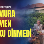 Çal'da bağbozumu coşkusu: Yağmura rağmen coşku dinmedi