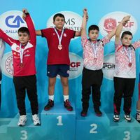 Spor