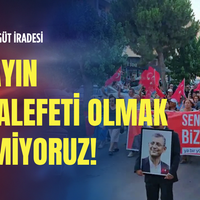 Politika