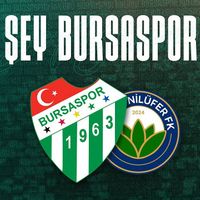 Spor