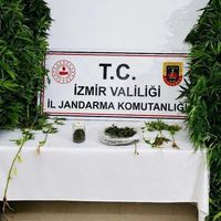 Asayiş