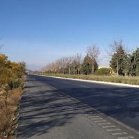 Ege