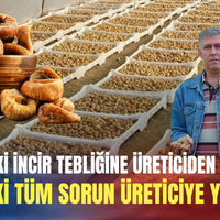 Ege