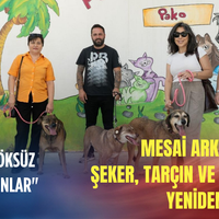İzmir