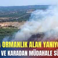Asayiş