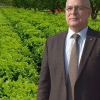 Gündem