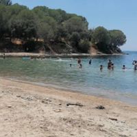 Ege