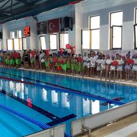 Spor