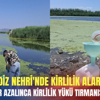 İzmir