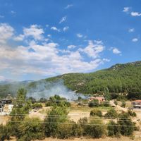 Asayiş