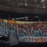 Spor