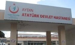 Aydın'da eşekten düşen yaşlı adam yaşam savaşı veriyor