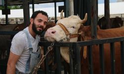 Denizli’de Kurban Bayramı hazırlıkları tamamlandı