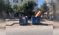 İzmir'de 33 kedinin ölümüyle ilgili o veteriner gözaltına alındı!