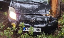 Kontrolünü kaybedip ormanlık alana uçtu