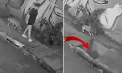 Köpeğini gezdirirken kanalizasyona düştü!