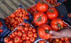 Domatesin kilosunda dikkat çeken artış: Vatandaş artık tane hesabı yapıyor