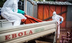 DSÖ'den Ebola salgını için acil durum alarmı!