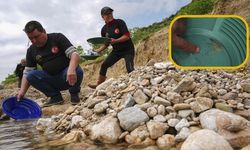 Dere yataklarında altın mesaisi: Ege’de ‘kırıntı madenciliği’ yeni gelir kapısı