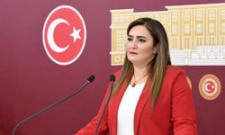 Sevda Erdan Kılıç:  CHP’nin siyasi kültürüyle bağdaşmamaktadır