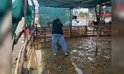 Manisa'da kurbanlık hayvanlar suyun içinde kaldı!