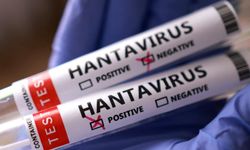 Türkiye'de hantavirüs vakası var mı? Sağlık Bakanlığından açıklama