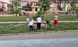 Parktaki köpek saldırısını çekiçle engelleyen doktor konuştu