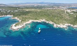 Atık midye kabukları İzmir'de yapay resife dönüştü