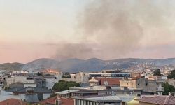 İzmir Seferihisar'da korkutan yangın: Alevler yerleşim yerlerinin kapısından döndü