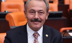 Milletvekili Şahin Tin: Her adımımız güçlü Türkiye için