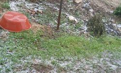 Manisa'daki dolu yağışı kirazı vurdu