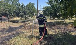 Menteşe ve Ula'da peş peşe yangın! Ekipler alevlerin önünü kesti