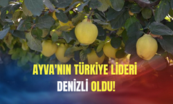 Ayva'nın Türkiye lideri Denizli oldu!