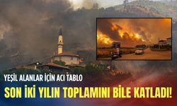 Bakanlık verileri açıkladı: İzmir Türkiye genelinde ikinci sırada! Korkunç bilanço...