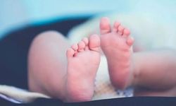 Tekirdağ'da çöplükte terkedilmiş bebek bulundu