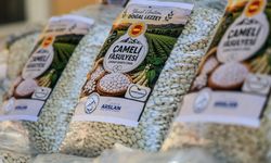 Denizli Çameli'de çiftçiye hibeli Çameli fasulyesi tohumu dağıtıldı