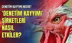 Denetim kayyımı nedir? Denetim kayyımı şirketleri nasıl etkiler?